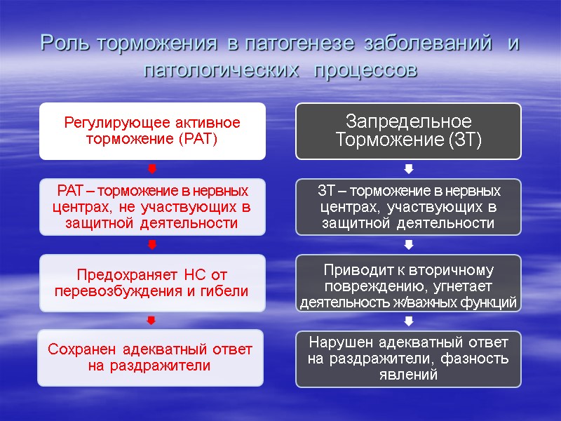 Роль торможения в патогенезе заболеваний  и патологических  процессов